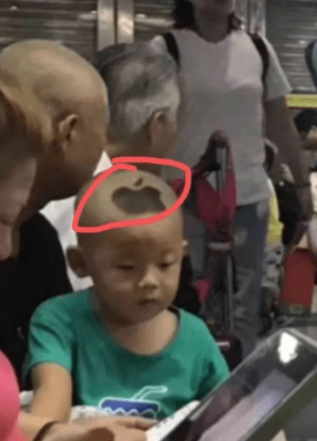 搞笑GIF:锅:我已结网<strong></p>
<p>蛋币网</strong>,蛋是跑不了的