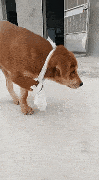 爆笑推荐：锅：我已结网，蛋是跑不了的