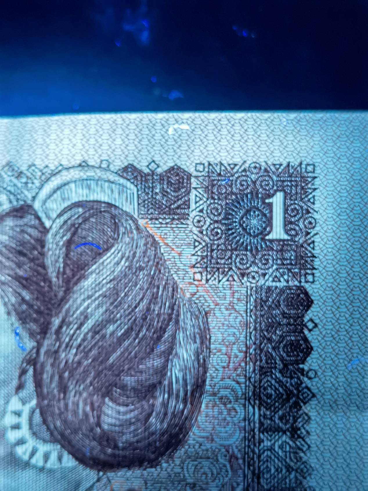 第四套人民币961的特殊荧光阳春白雪一枝红