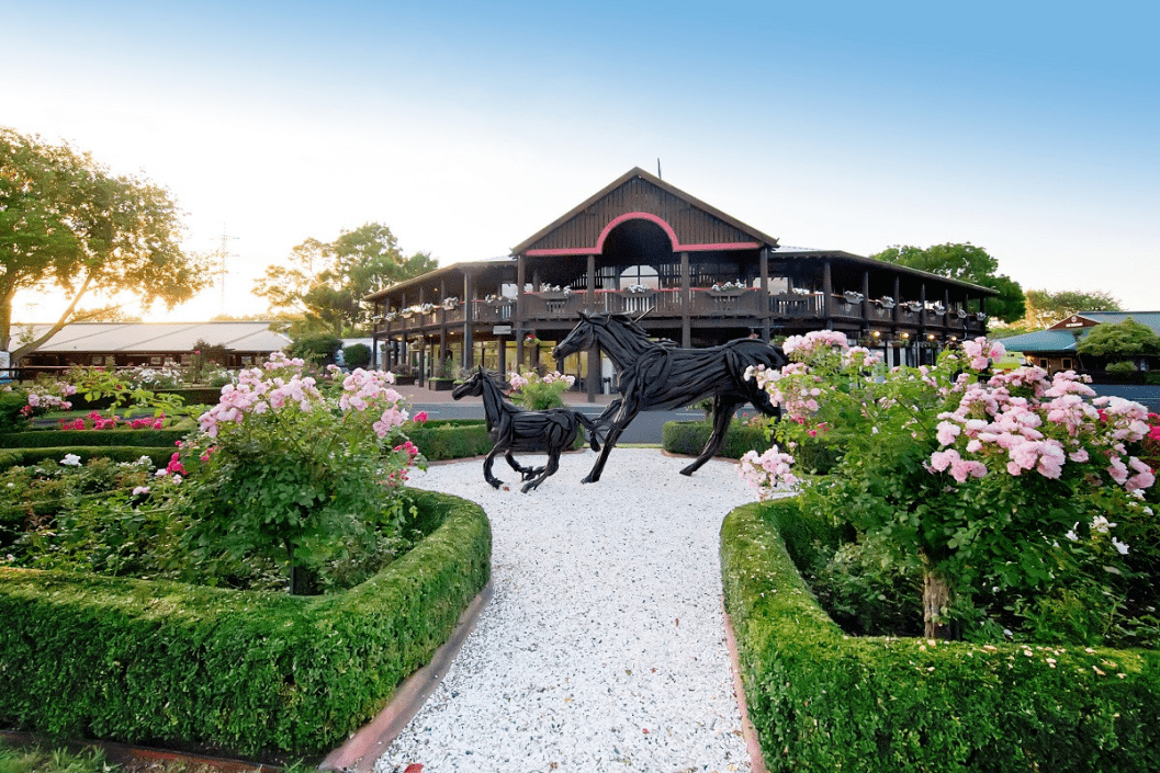 大陆马:89匹种公马的超300匹子嗣上拍<strong></p>
<p>币天下</strong>!2022新西兰快跳拍卖会来袭!