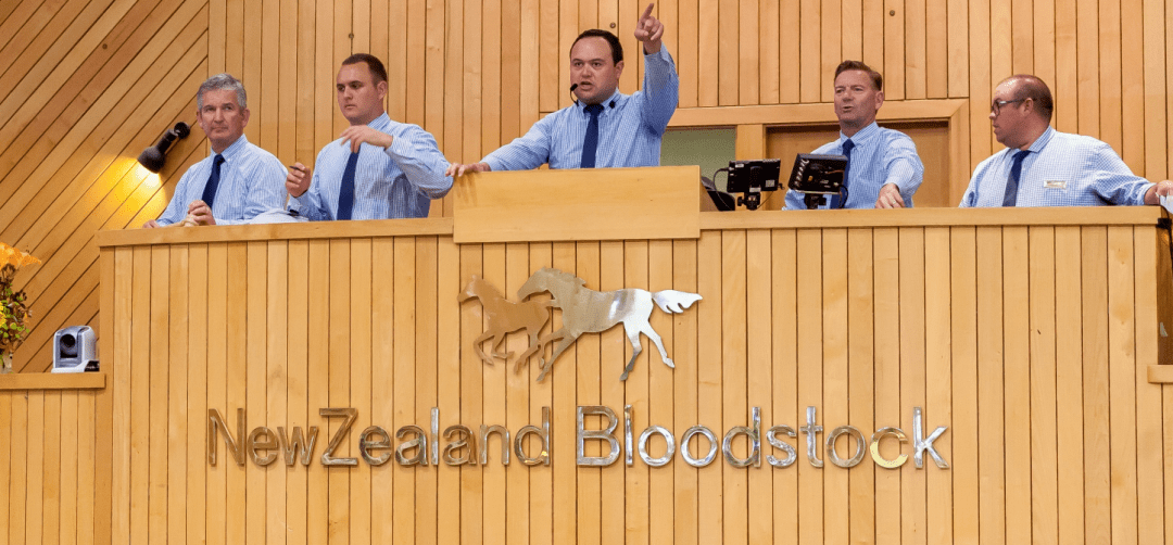 大陆马:89匹种公马的超300匹子嗣上拍<strong></p>
<p>币天下</strong>!2022新西兰快跳拍卖会来袭!