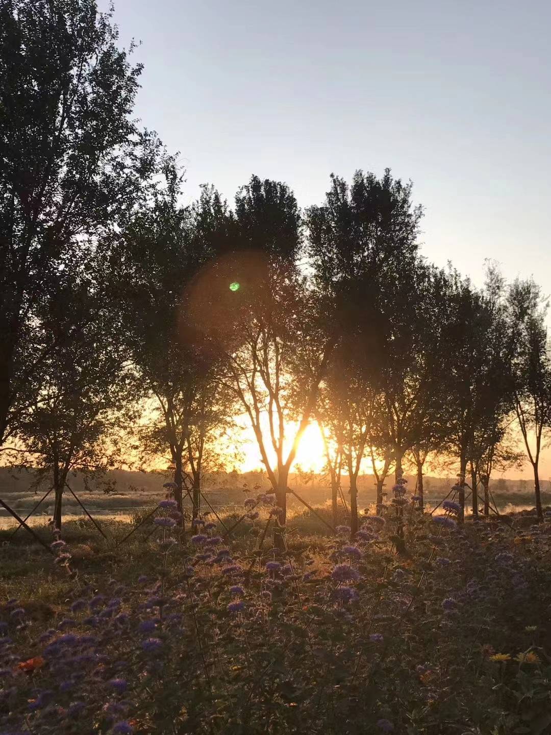 没有硝烟的职场，这里的黎明静悄悄