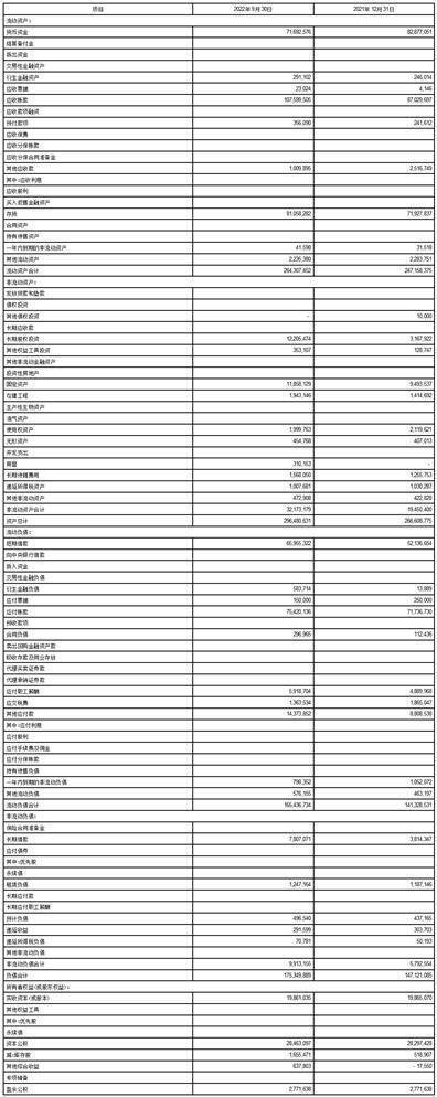 富士康工业互联网股份有限公司2022第三季度报告