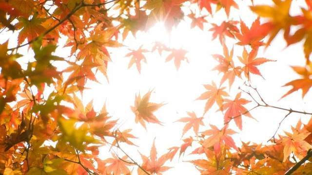 财富简史：埋下那颗种子