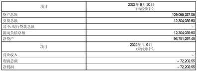 苏州东山精密制造股份有限公司 第五届董事会第三十一次会议决议公告
