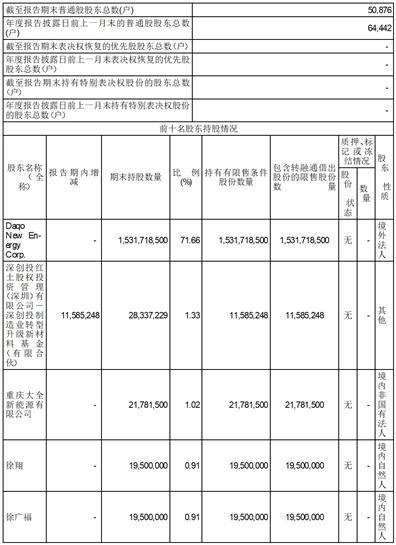 新疆大全新能源股份有限公司2022年度报告摘要