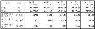 新疆大全新能源股份有限公司2022年度报告摘要