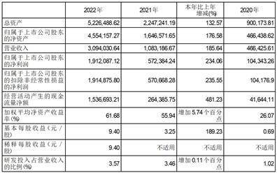 新疆大全新能源股份有限公司2022年度报告摘要