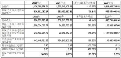 福建省永安林业(集团)股份有限公司2022年度报告摘要