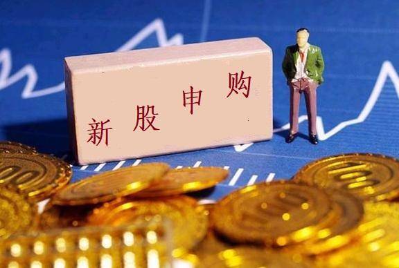 新股云天励飞发行申购<strong></p>
<p>股票总市值</strong>,业绩亏损上市,股民中签会破发吗?