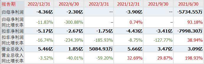 新股云天励飞发行申购<strong></p>
<p>股票总市值</strong>,业绩亏损上市,股民中签会破发吗?
