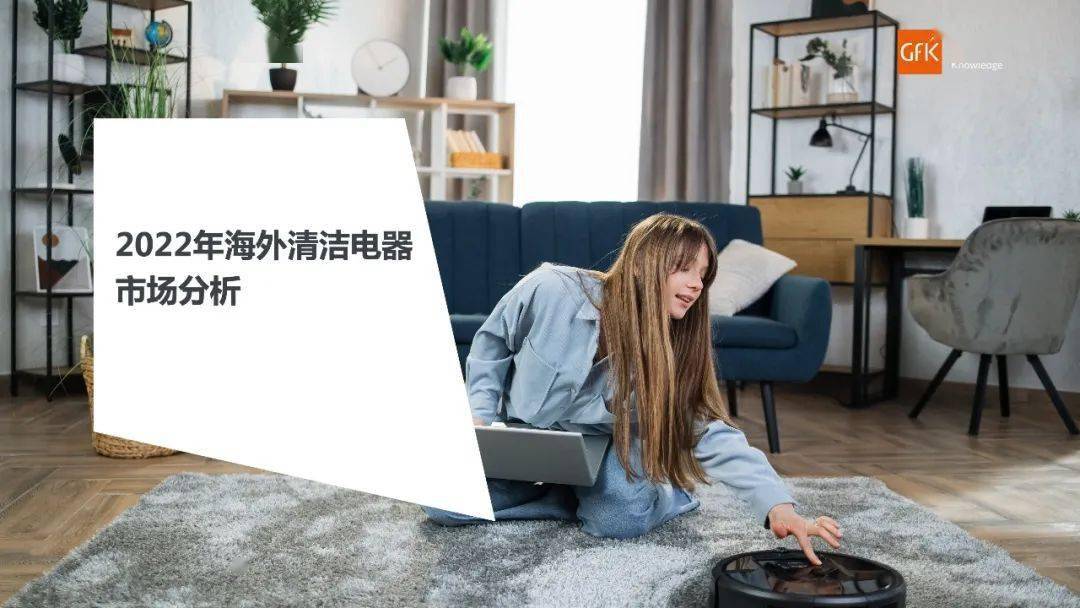【市场分析】2022年海外清洁电器市场分析