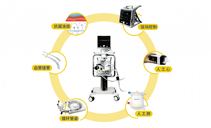 国内市场老大<strong></p>
<p>股票一级市场</strong>,ECMO巨头一级召回