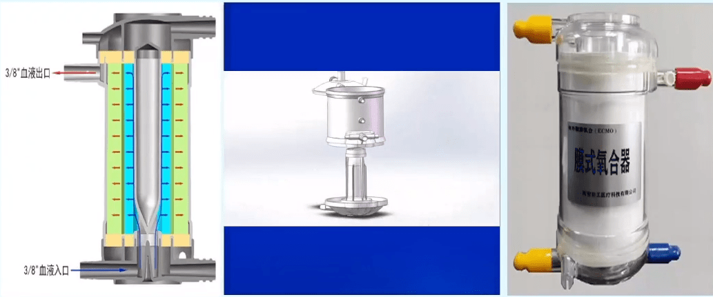 国内市场老大<strong></p>
<p>股票一级市场</strong>,ECMO巨头一级召回