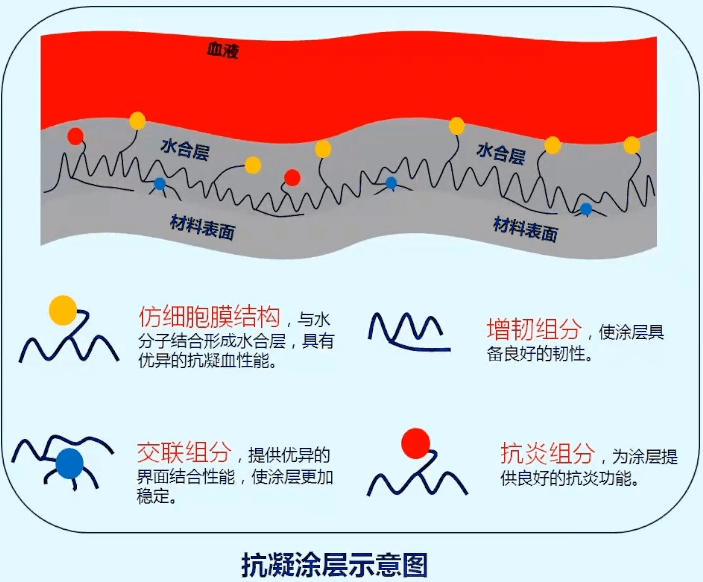 国内市场老大<strong></p>
<p>股票一级市场</strong>,ECMO巨头一级召回