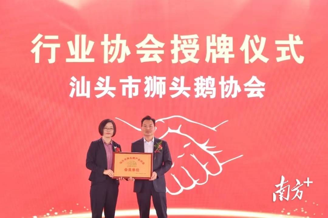 打造一级市场<strong></p>
<p>股票一级市场</strong>，省市重点项目粤东三科农商城步入快车道