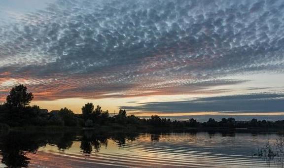 十二生肖今日运势查询解读