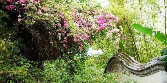 十二生肖今日运势查询解读