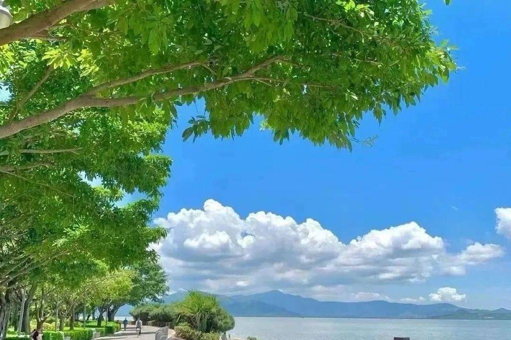 股票期权有哪些策略能稳赚不赔<strong></p>
<p>煤炭股票有哪些</strong>?