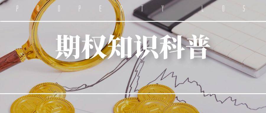 股票指数期权买卖的盈利技巧有哪些？