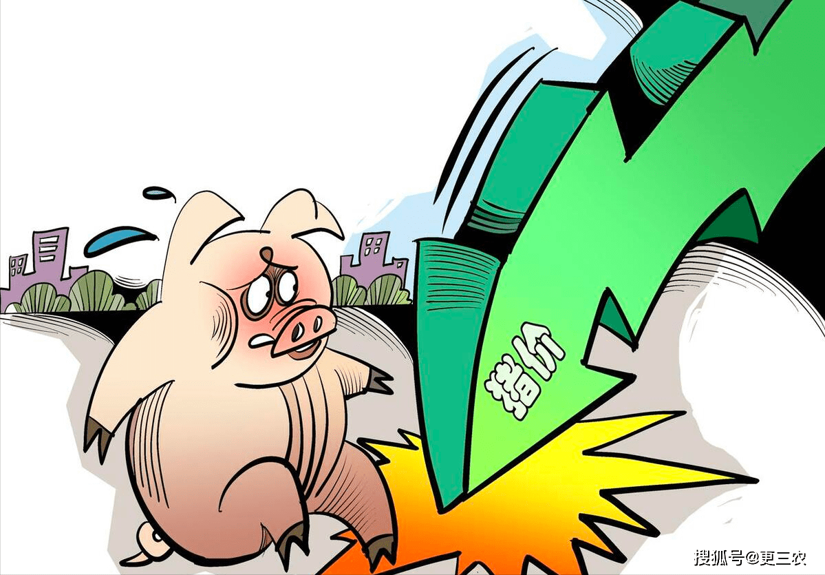 豆粕、生猪预警“倒挂”<strong></p>
<p>汽油价格</strong>,花生行情揪心,汽油价格要涨?发生了啥