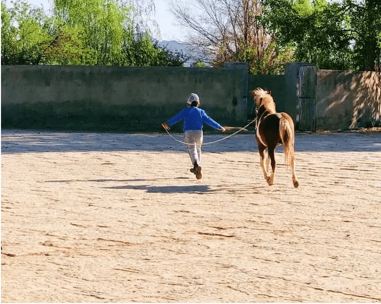 慕信轩：新手交易如何把握数据行情？