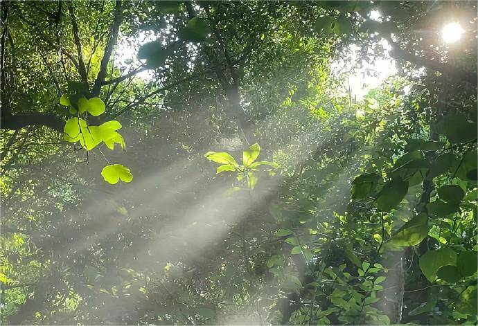 什么是期权交易<strong></p>
<p>公司债券怎么交易</strong>,怎么交易期权?