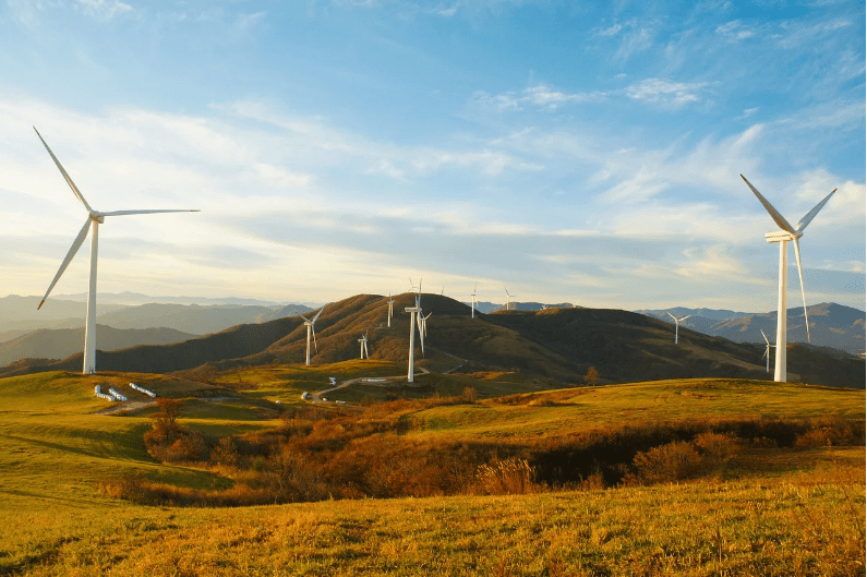 棉花期权怎么交易<strong></p>
<p>公司债券怎么交易</strong>?怎么分析?