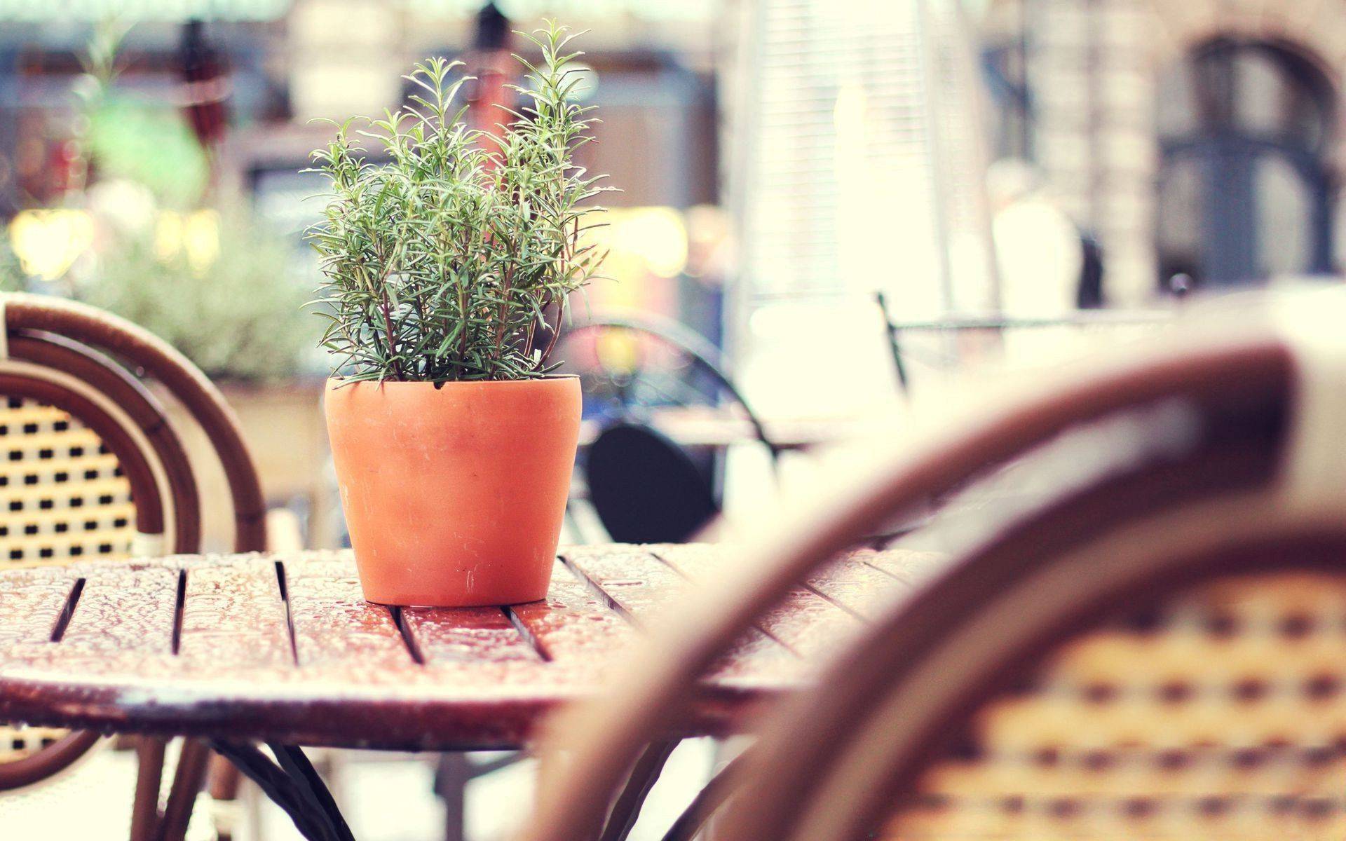 怎么买国债在哪里买