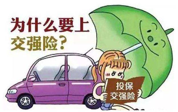 手机上买交强险怎么买，交强险怎么查询电子保单