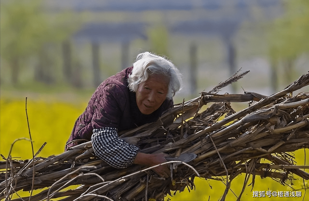 老人保险怎么买<strong></p>
<p>货币怎么买</strong>?还有必要买吗?