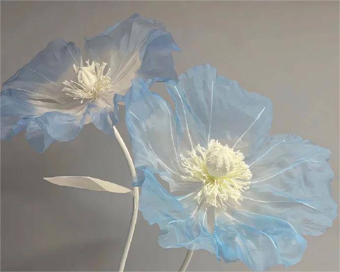 上证50ETF怎么买？