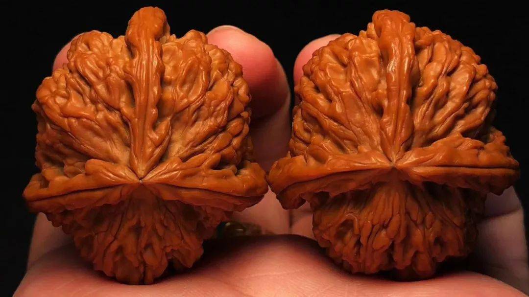 文玩圈的“武玩”<strong></p>
<p>币圈怎么玩</strong>,到底怎么玩?