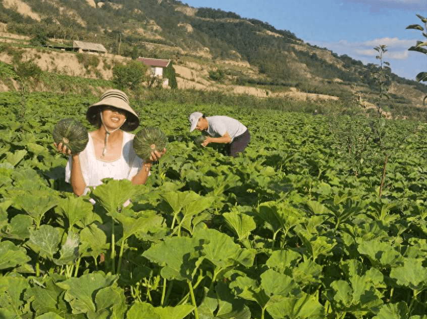 茅台咖啡出圈<strong></p>
<p>币圈怎么玩</strong>！种业跨界怎么玩？