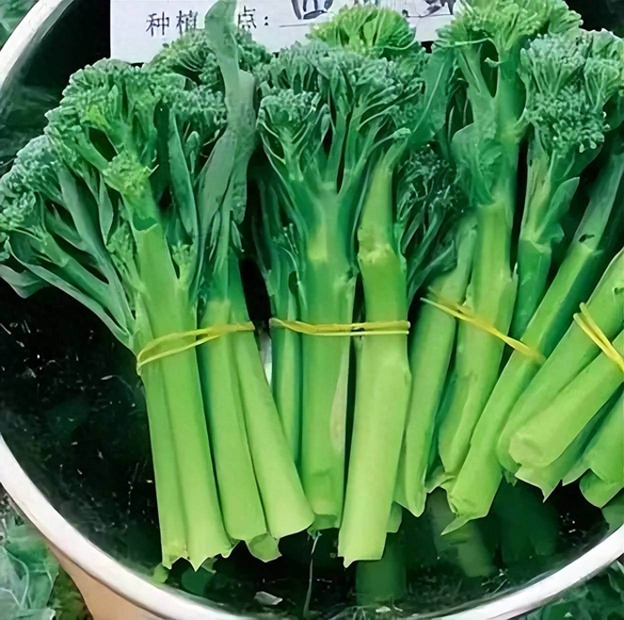 茅台咖啡出圈<strong></p>
<p>币圈怎么玩</strong>！种业跨界怎么玩？