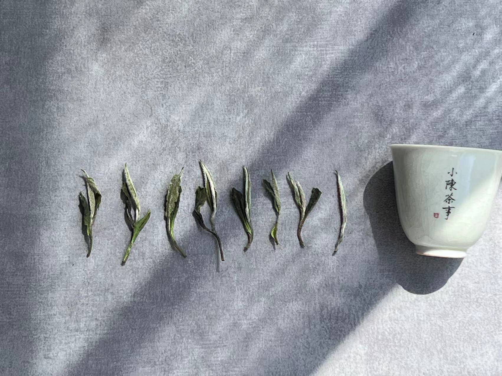 新手买白茶<strong></p>
<p>怎么买币</strong>，是按“公斤”买，还是按“克”买？怎么购买才划算？