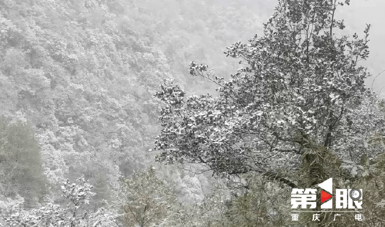 下҈雪҈҈，了！重庆多地迎今冬第一场，雪景走一波