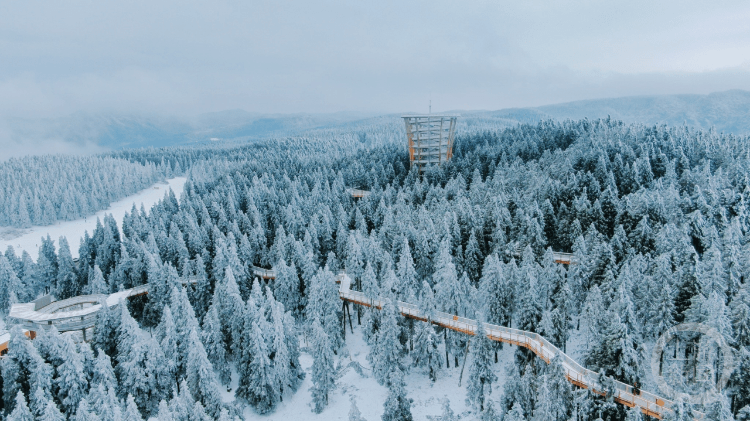 下҈雪҈҈<strong></p>
<p>波场币</strong>,了!重庆多地迎今冬第一场,雪景走一波