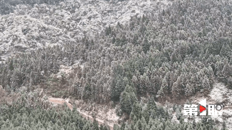 下҈雪҈҈<strong></p>
<p>波场币</strong>,了!重庆多地迎今冬第一场,雪景走一波