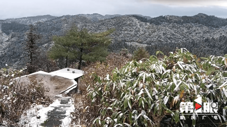下҈雪҈҈<strong></p>
<p>波场币</strong>,了!重庆多地迎今冬第一场,雪景走一波