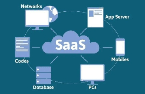 源码开发与SaaS:软件开发领域的两大模式对比