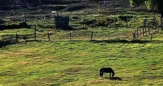 荐号 | 那些不爱刷视频和发朋友圈的人<strong></p>
<p>币圈怎么刷号</strong>,每天都在做些什么?