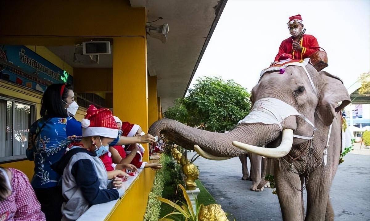 5个人就有一人在炒币<strong></p>
<p>炒币怎么宣传</strong>,全国俨然一个大赌场,泰国这是怎么了?