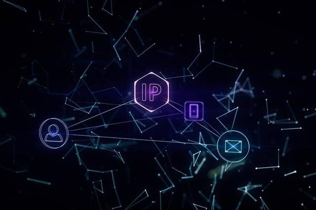 IP地址和其他网络地址有什么区别<strong></p>
<p>ip地址软件</strong>?