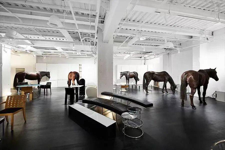 全网被嘲的“沪币”<strong></p>
<p>币币网怎么样</strong>,到底有多贵?