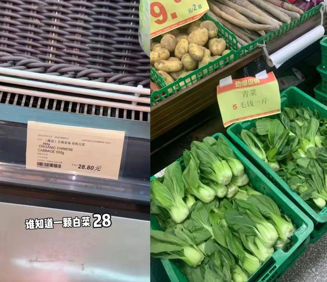 全网被嘲的“沪币”<strong></p>
<p>币币网怎么样</strong>,到底有多贵?