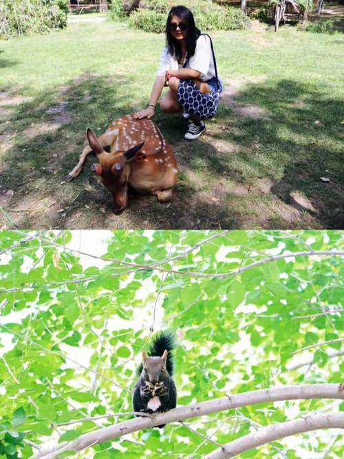 报团去呼伦贝尔3日游多少钱人民币?经验<strong></p>
<p>玩克币怎么交易</strong>!想去内蒙旅游不知道怎么玩求推荐?