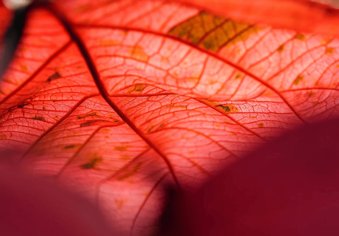 期权交易及手续费怎么算的<strong></p>
<p>现货交易手续费怎么算</strong>?