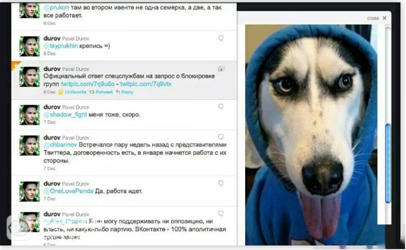 币安加持<strong></p>
<p>安币账户</strong>,TON 生态力推,MEME 币抵抗狗 REDO 成了 TON 链文化之王?