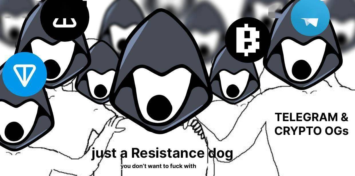 币安加持<strong></p>
<p>安币账户</strong>,TON 生态力推,MEME 币抵抗狗 REDO 成了 TON 链文化之王?